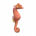 海馬