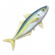 竹莢魚-icon.png