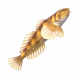 杜父魚-icon.png