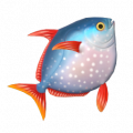 月魚