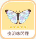夜明珠閃蝶
