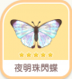 夜明珠閃蝶-icon.png