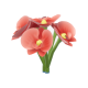 蝴蝶蘭-icon.png