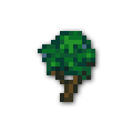 120x