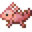 粉色珊瑚蝾螈.png
