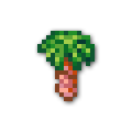 120x
