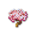 120x