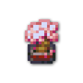 120x