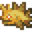砂皮尖刺鱼.png