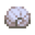 霉菌贝壳.png