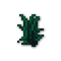120x