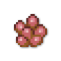 120x
