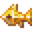 金晶棱角鱼.png