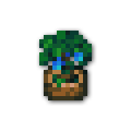 120x