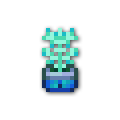120x