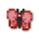 列表绛翼蝶.png