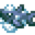 霉菌鲨鱼.png