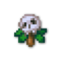 120x