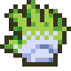 棘刺皮肤.png