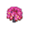 120x