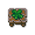 120x