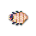 120x