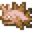 硬皮尖刺鱼.png