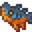 暗色噬岩鱼.png