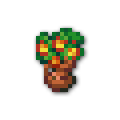 120x