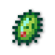 列表巨型细菌.png