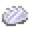 光滑贝壳.png