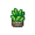 120x