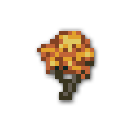 120x
