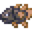 古老龙鱼.png