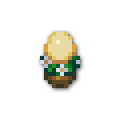 120x