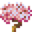 白色樱花树.png