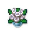 120x