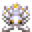 王冠鱿鱼.png