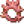 珊瑚戒指.png