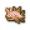 列表硬皮尖刺鱼.png