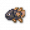 列表古老龙鱼.png