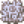 大型化石群.png