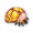列表酸液幼虫.png