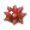 列表红色史莱姆.png
