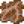 菌丝土.png