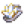 钙化贝壳.png