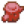 珊瑚木.png