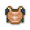 列表幼虫胸甲.png
