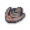 列表陆地三叶虫.png