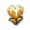 列表金色光耀郁金香.png